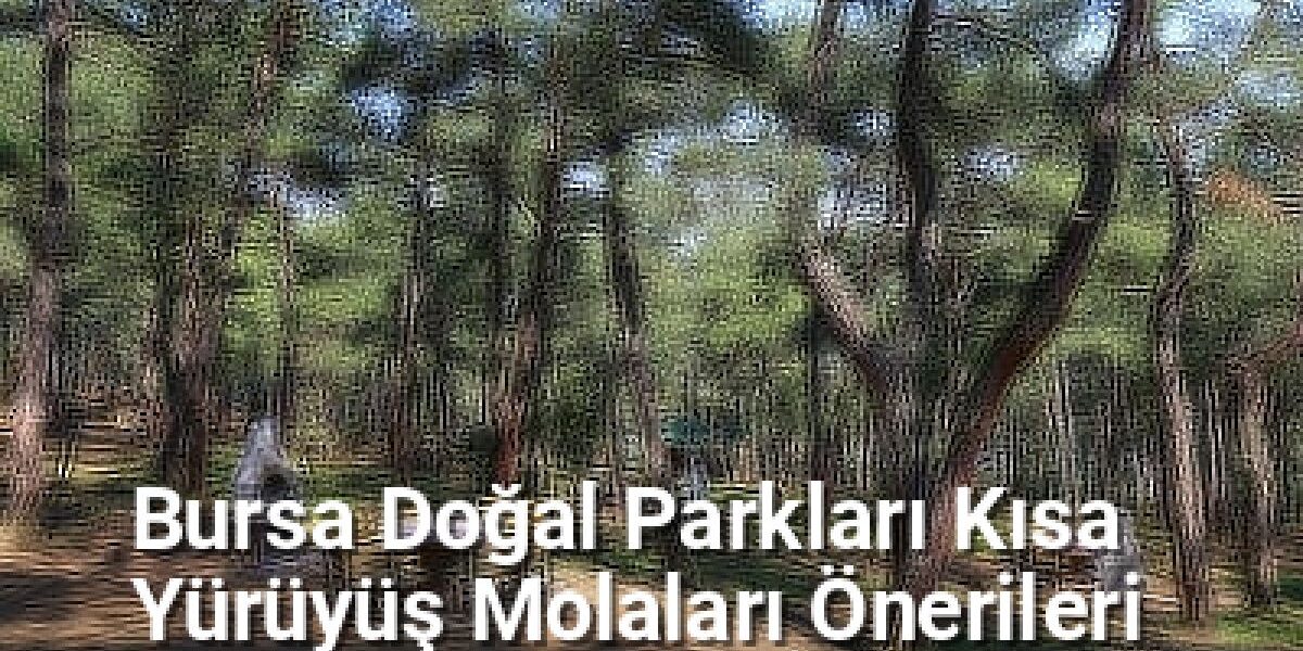 Bursa Doğal Parkları Kısa Yürüyüş Molaları Önerileri - bursarotalari.net.tc
