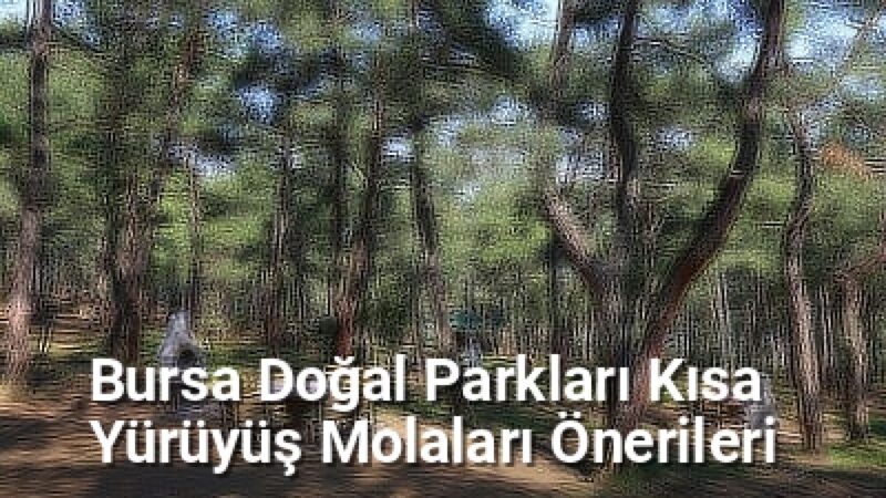 Bursa Doğal Parkları Kısa Yürüyüş Molaları Önerileri - bursarotalari.net.tc