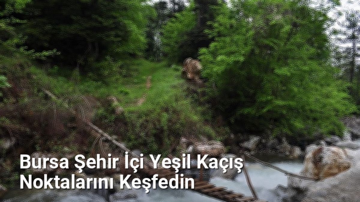 Bursa Şehir İçi Yeşil Kaçış Noktalarını Keşfedin - bursarotalari.net.tc